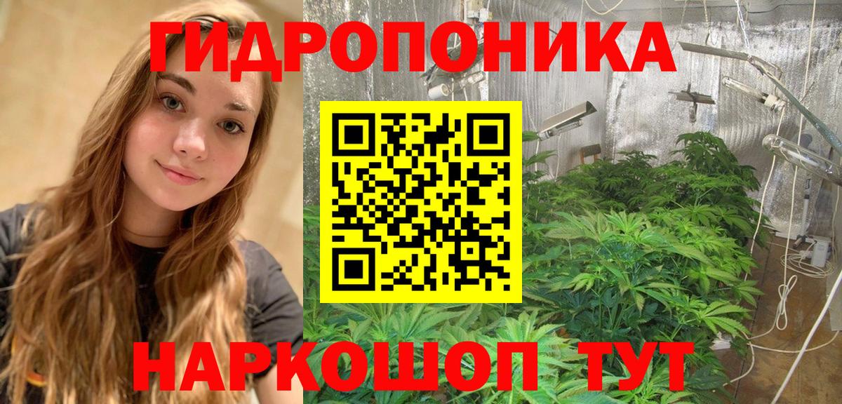 Долгопрудный  Шишки марихуана семена  Вход с VPN  Бошки марихуана гибрид 